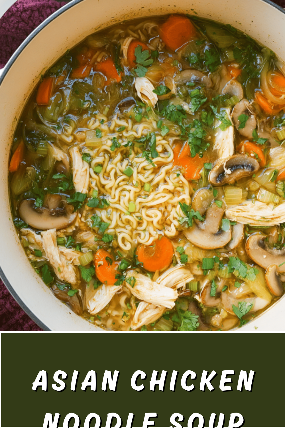 Asian Chicken Noodle Soup Recipe With Savory Broth And Fresh Ingredients 7 Asian Chicken Noodle Soup