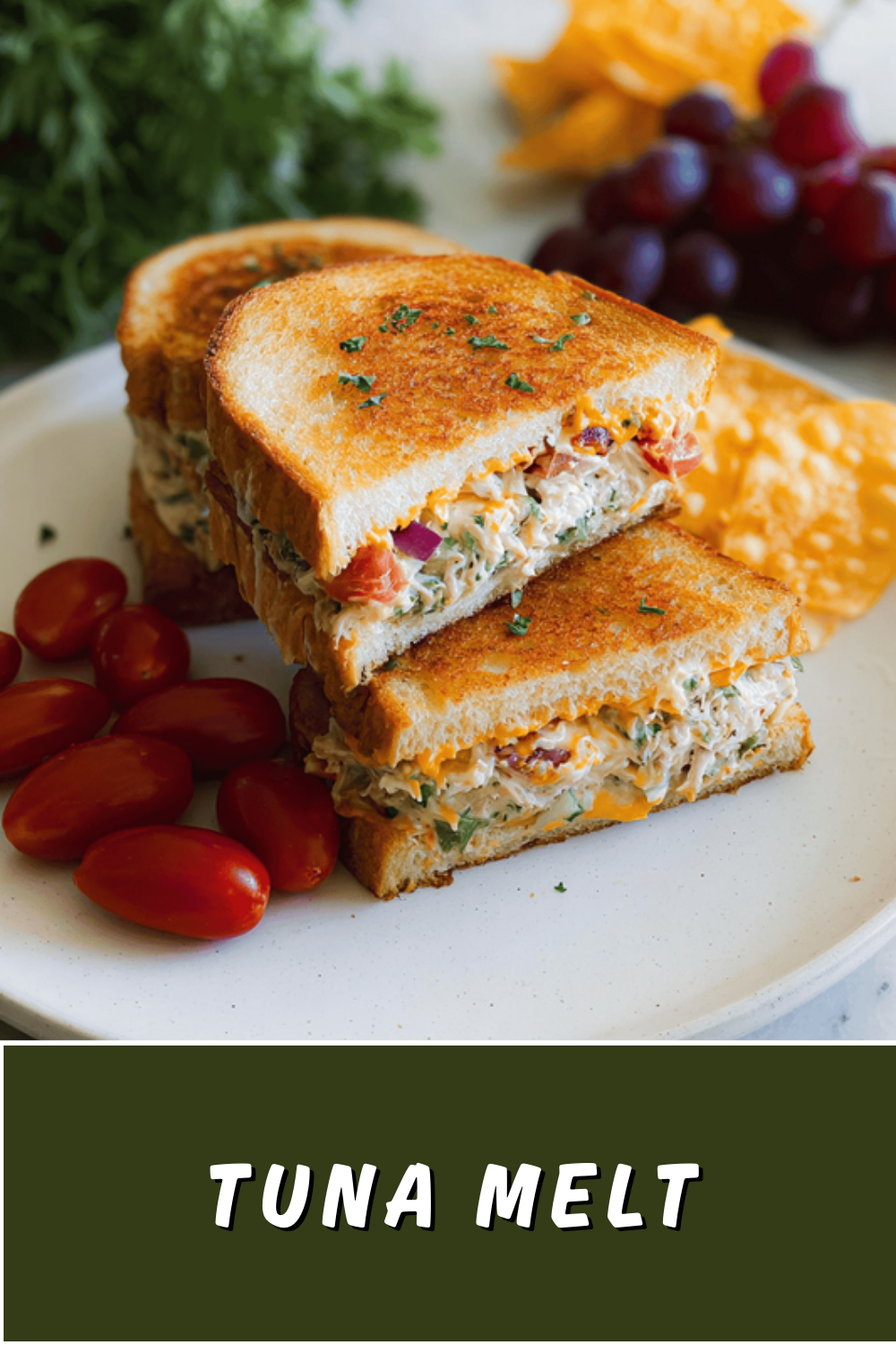 Tuna Melt Recipe Classic Comfort Sandwich With Melted Cheese And Tuna 7 Tuna Melt