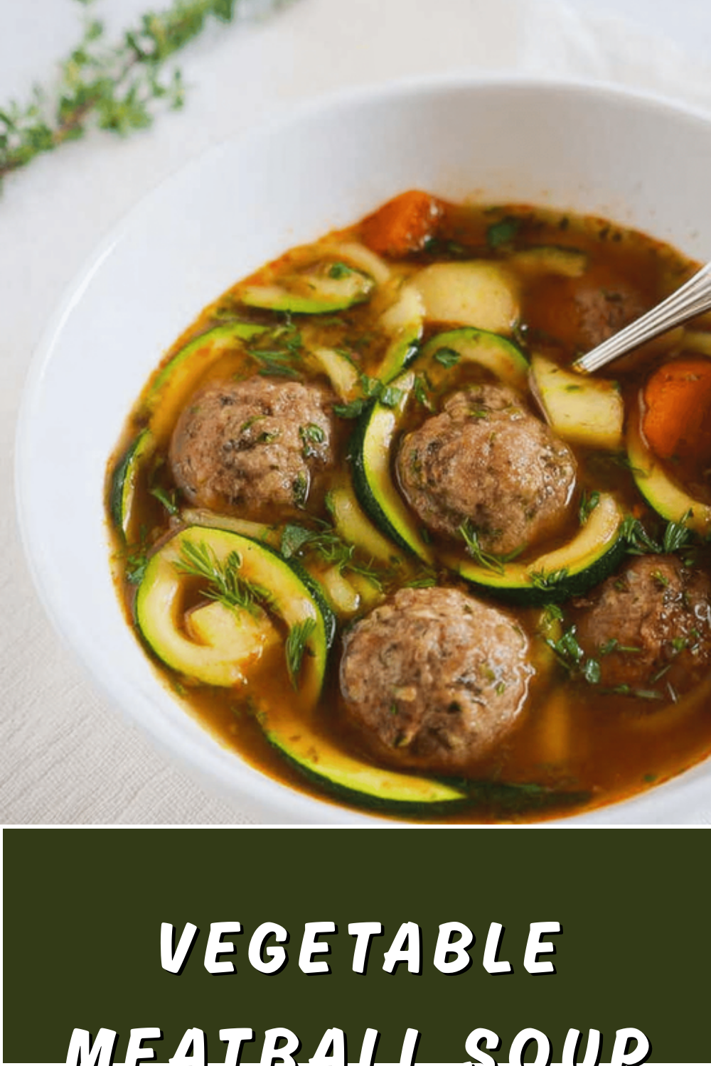 Vegetable Meatball Soup