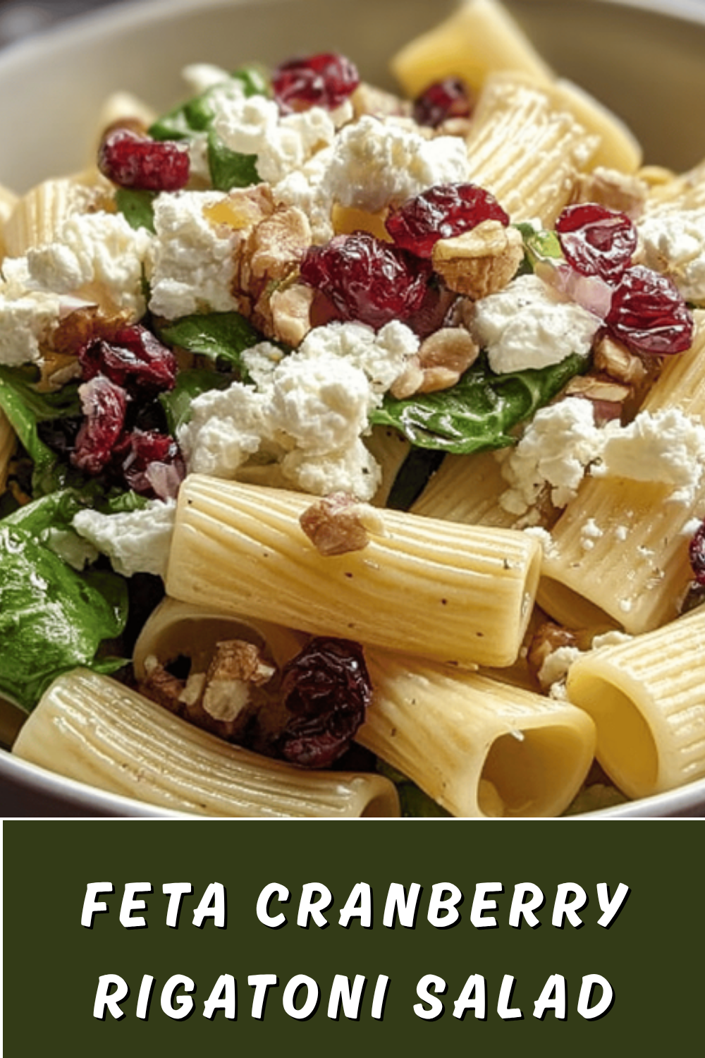 Feta And Cranberry Rigatoni Salad With Fresh Lemon Vinaigrette 7 Feta Cranberry Rigatoni Salad