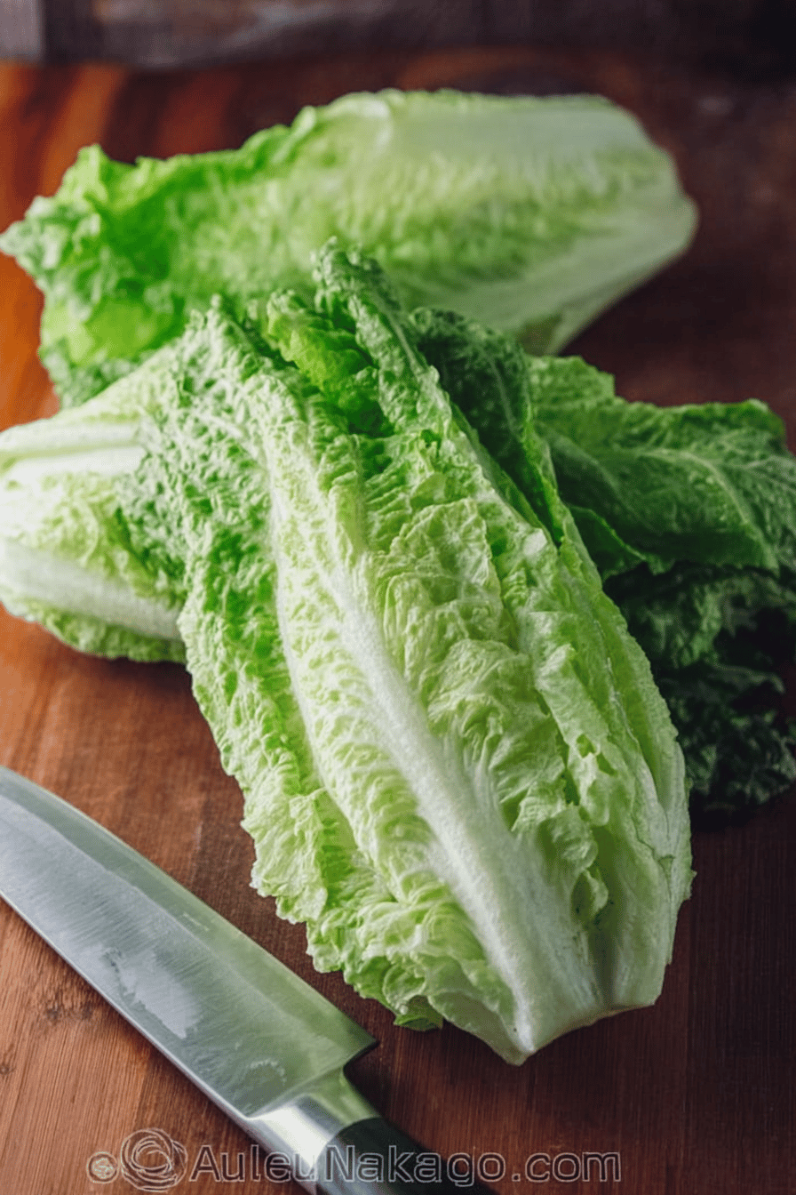 Romaine Lettuce Benefits Uses And Simple Recipes For Every Meal 7 Romaine Lettuce