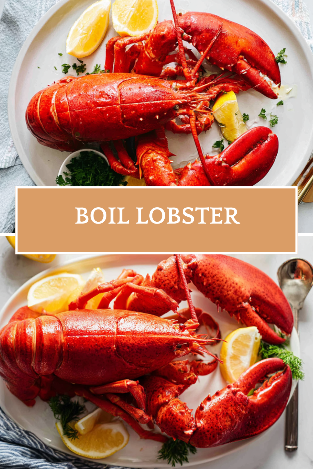 Boil Lobster