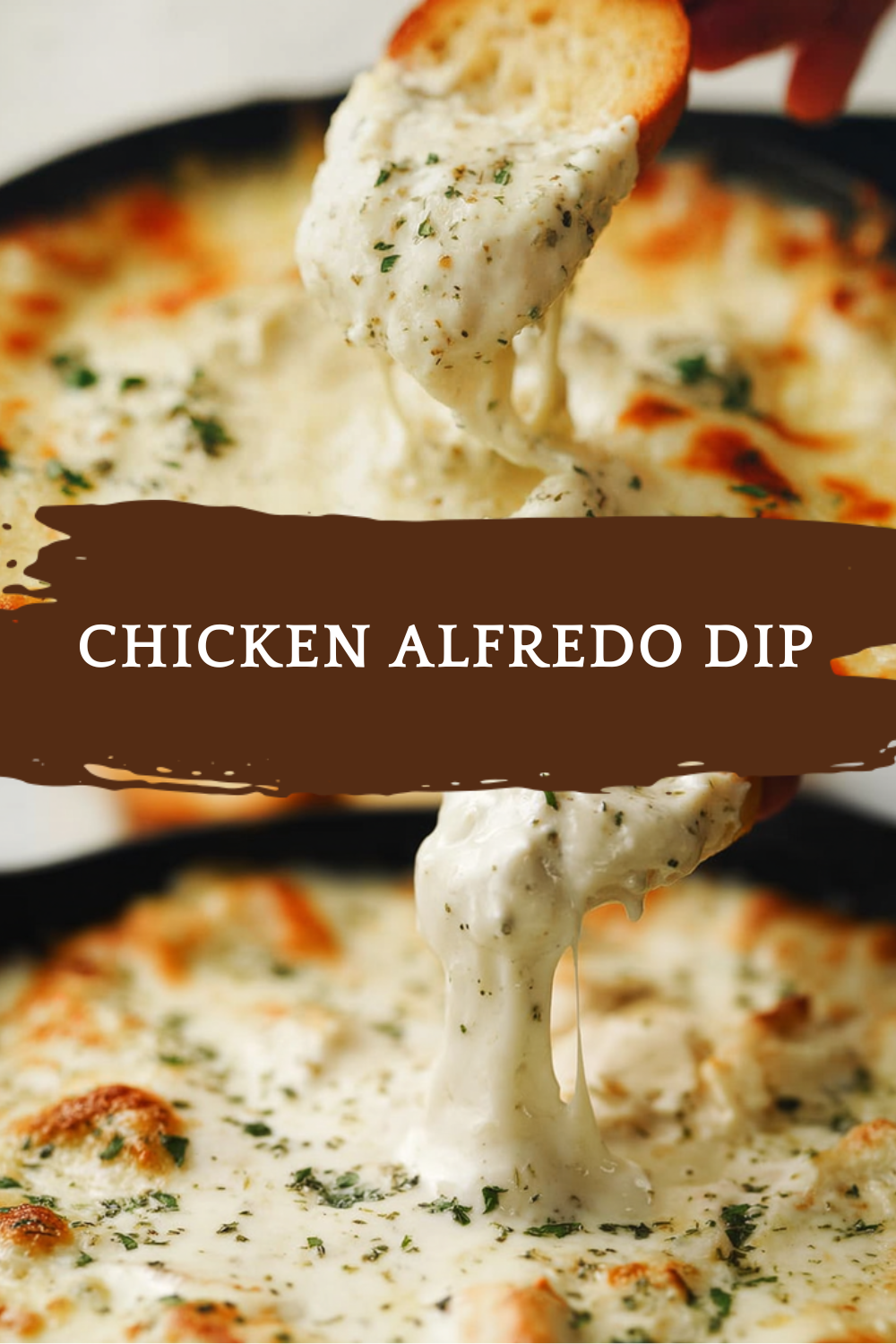 Creamy Chicken Alfredo Dip Delight 7 Chicken Alfredo Dip