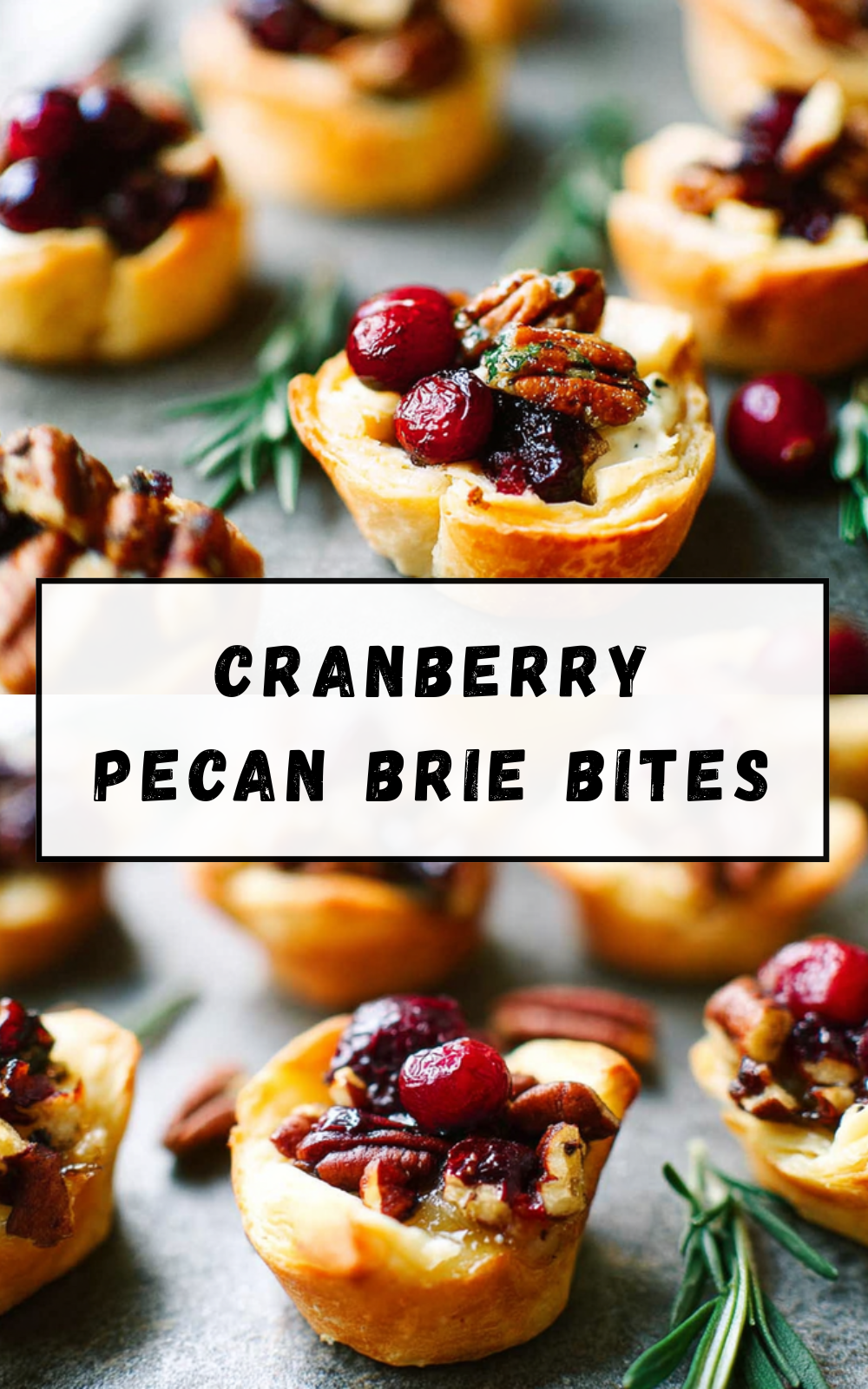 Cranberry Pecan Brie Bites Delicious Make-Ahead Appetizer 7 Cranberry Pecan Brie Bites