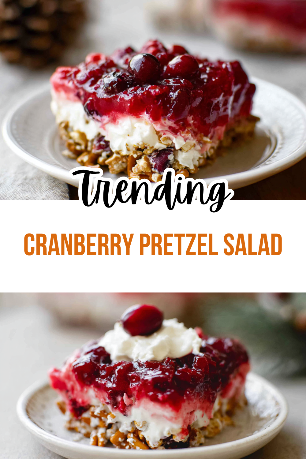Cranberry Pretzel Salad Recipe With Creamy Layers And Crunchy Texture 7 Cranberry Pretzel Salad