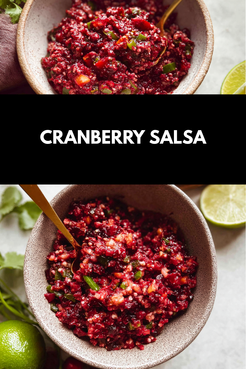 Cranberry Salsa