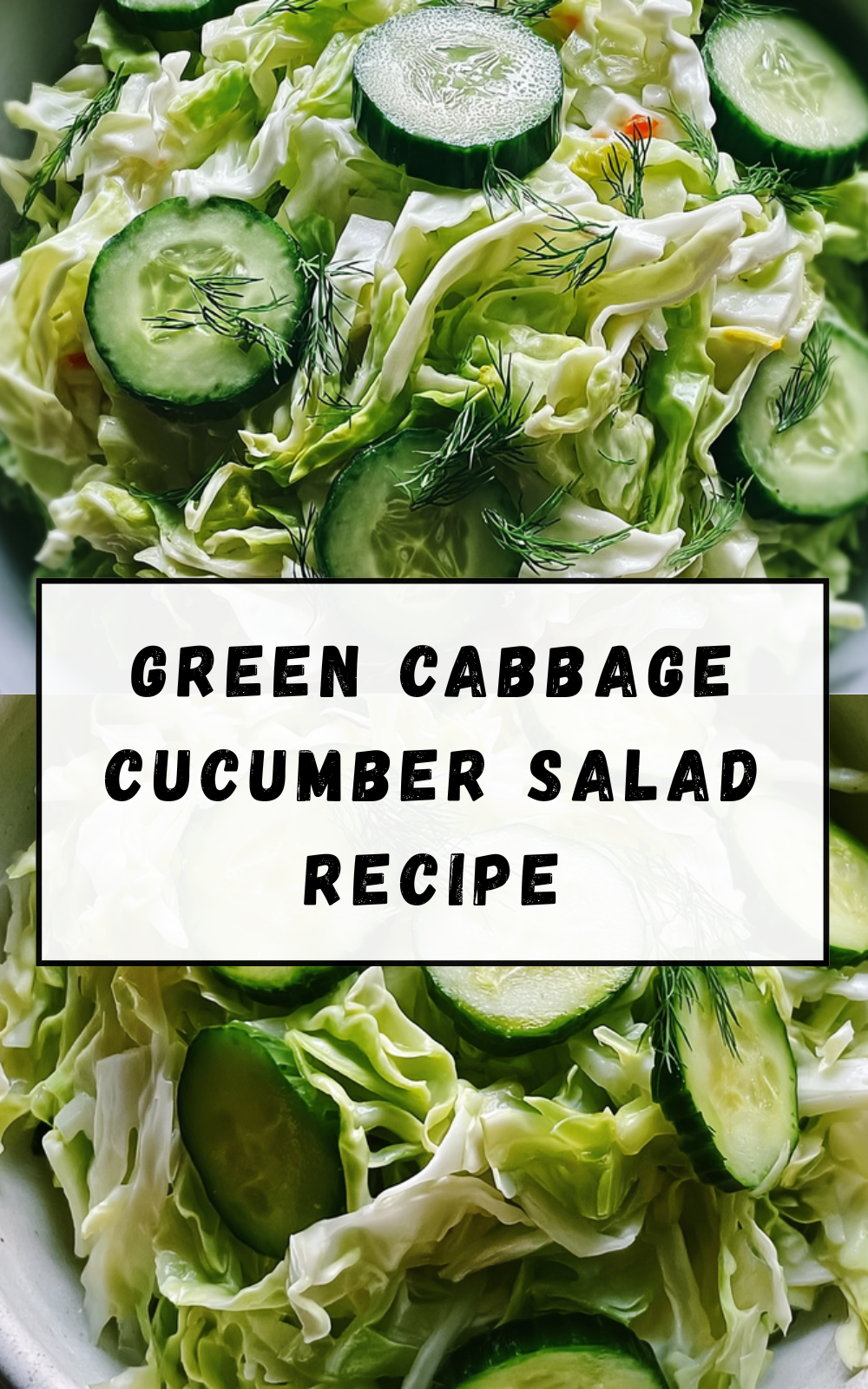 Green Cabbage Cucumber Salad Recipe