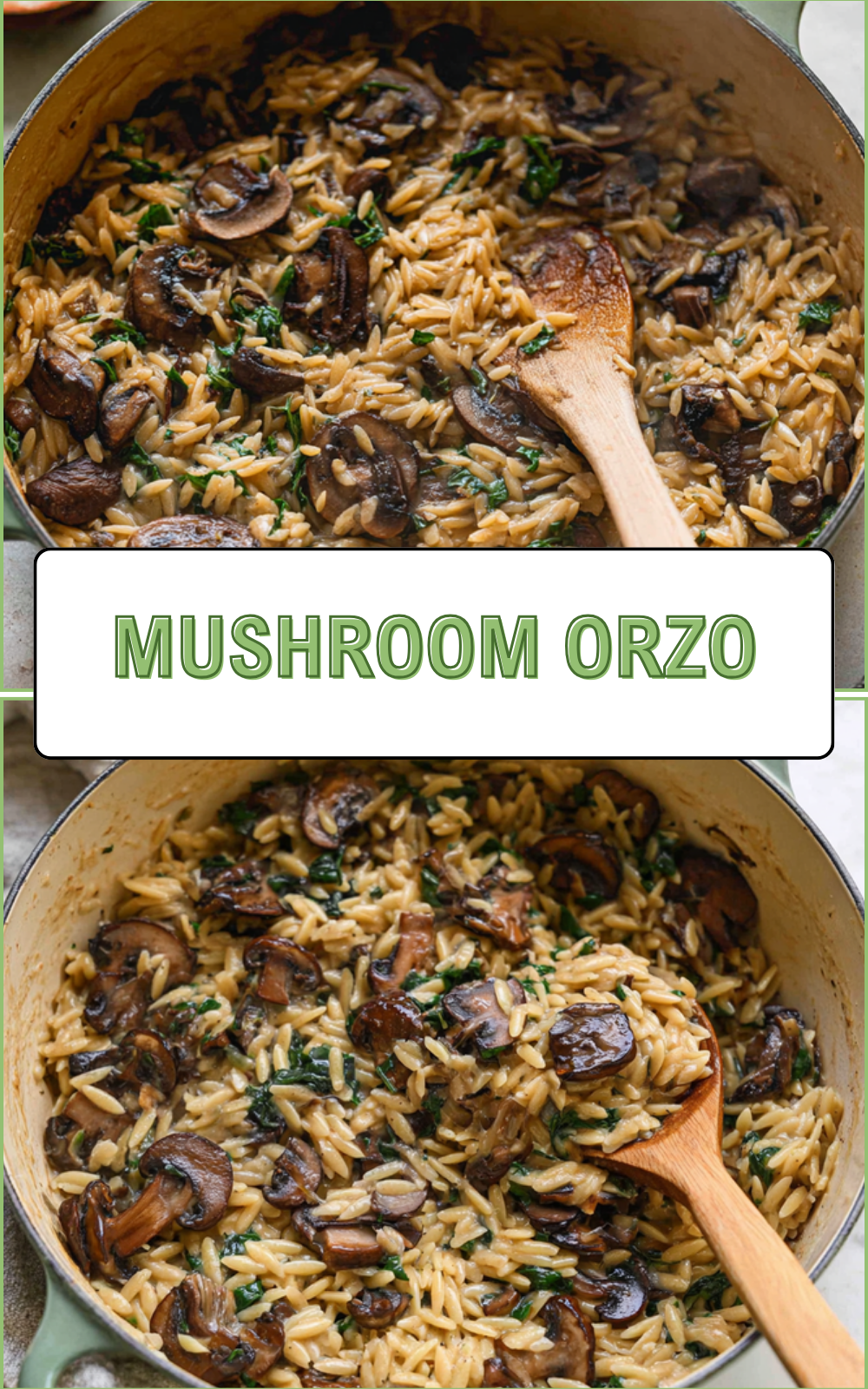 Mushroom Orzo
