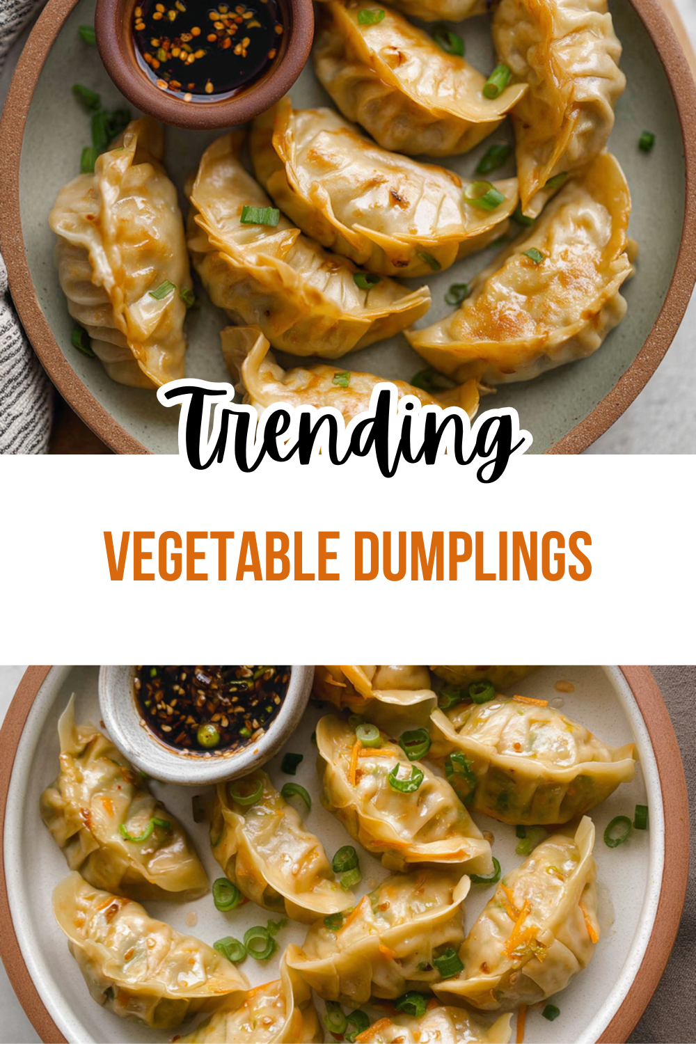 Vegetable Dumplings Recipe Simple Steps For Homemade Flavorful Bites 7 Vegetable Dumplings