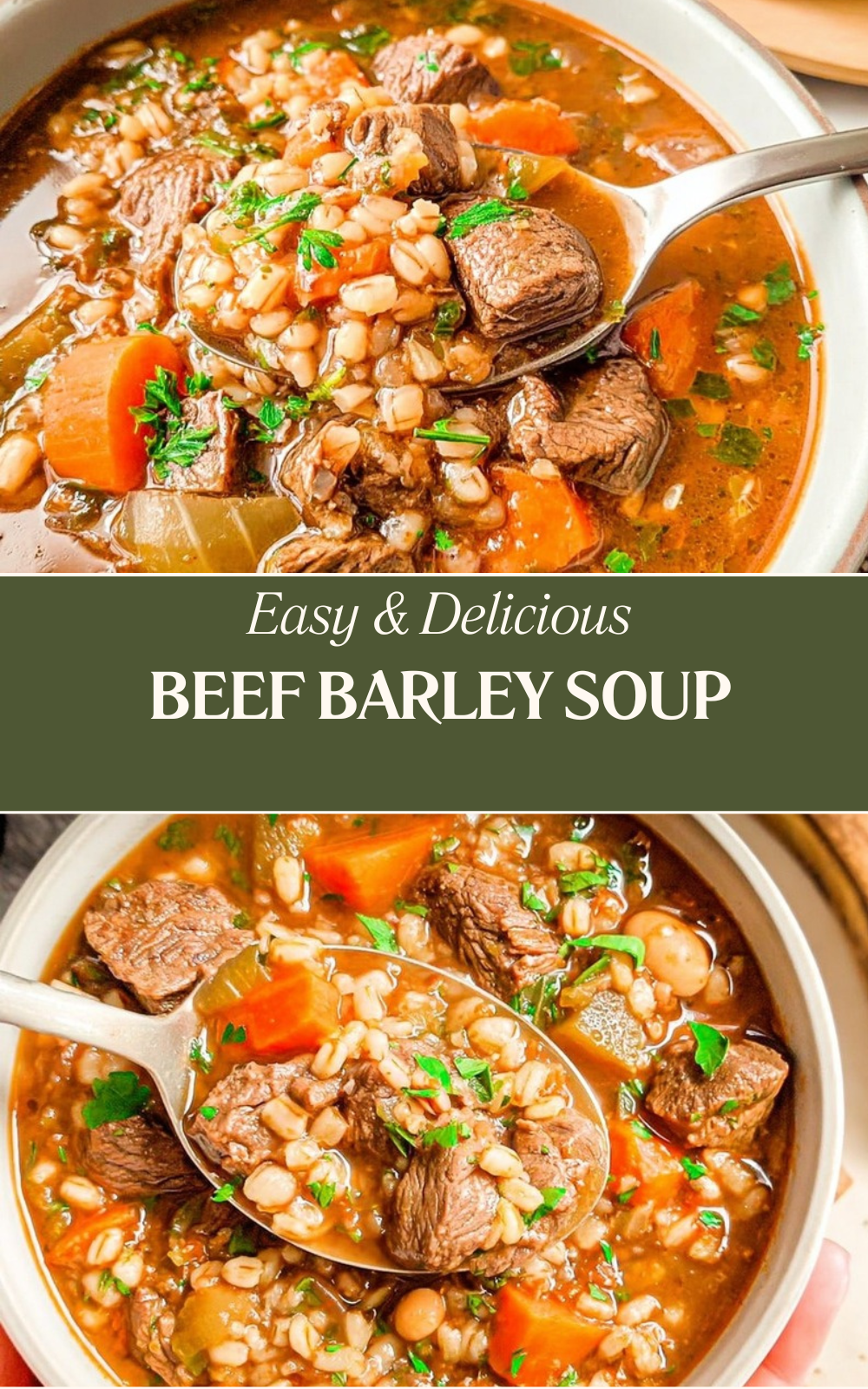 Beef Barley Soup