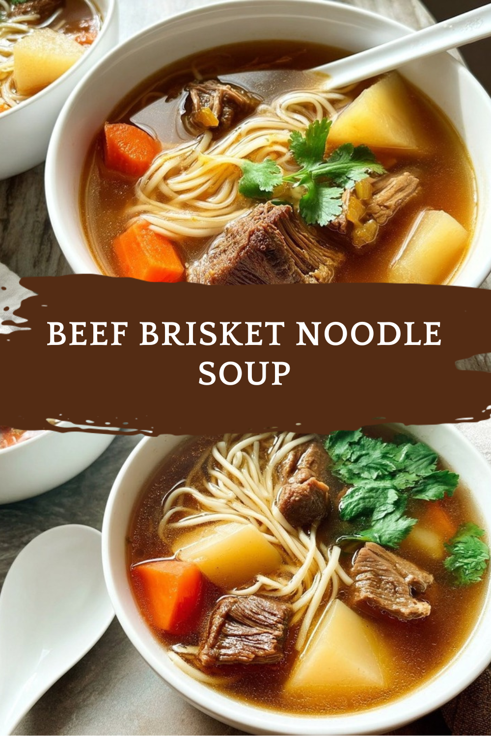 Beef Brisket Noodle Soup