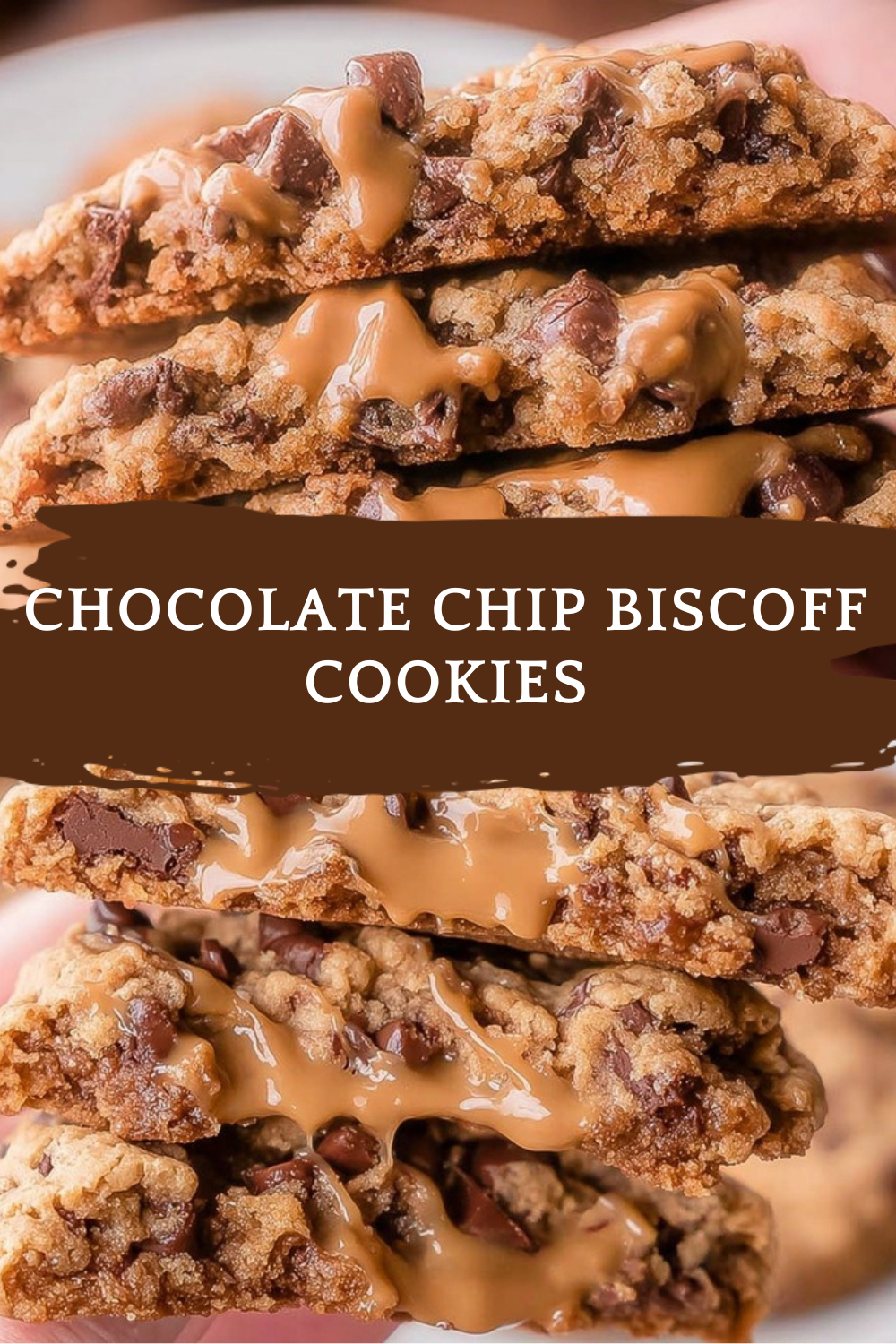 Chocolate Chip Biscoff Cookies