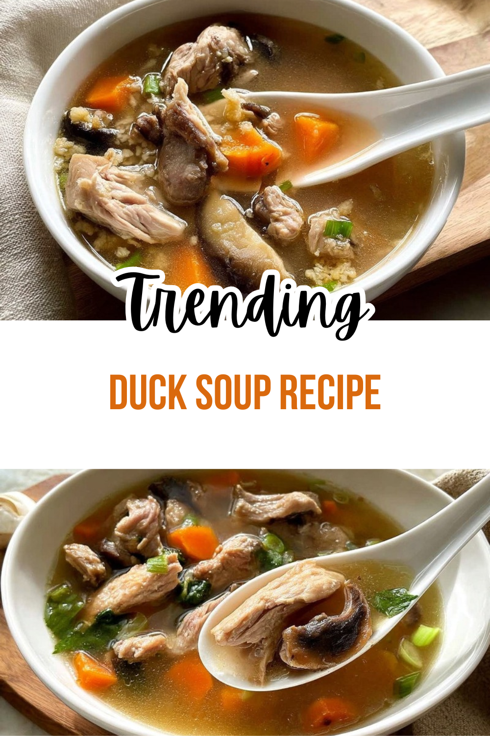 Duck Soup Recipe