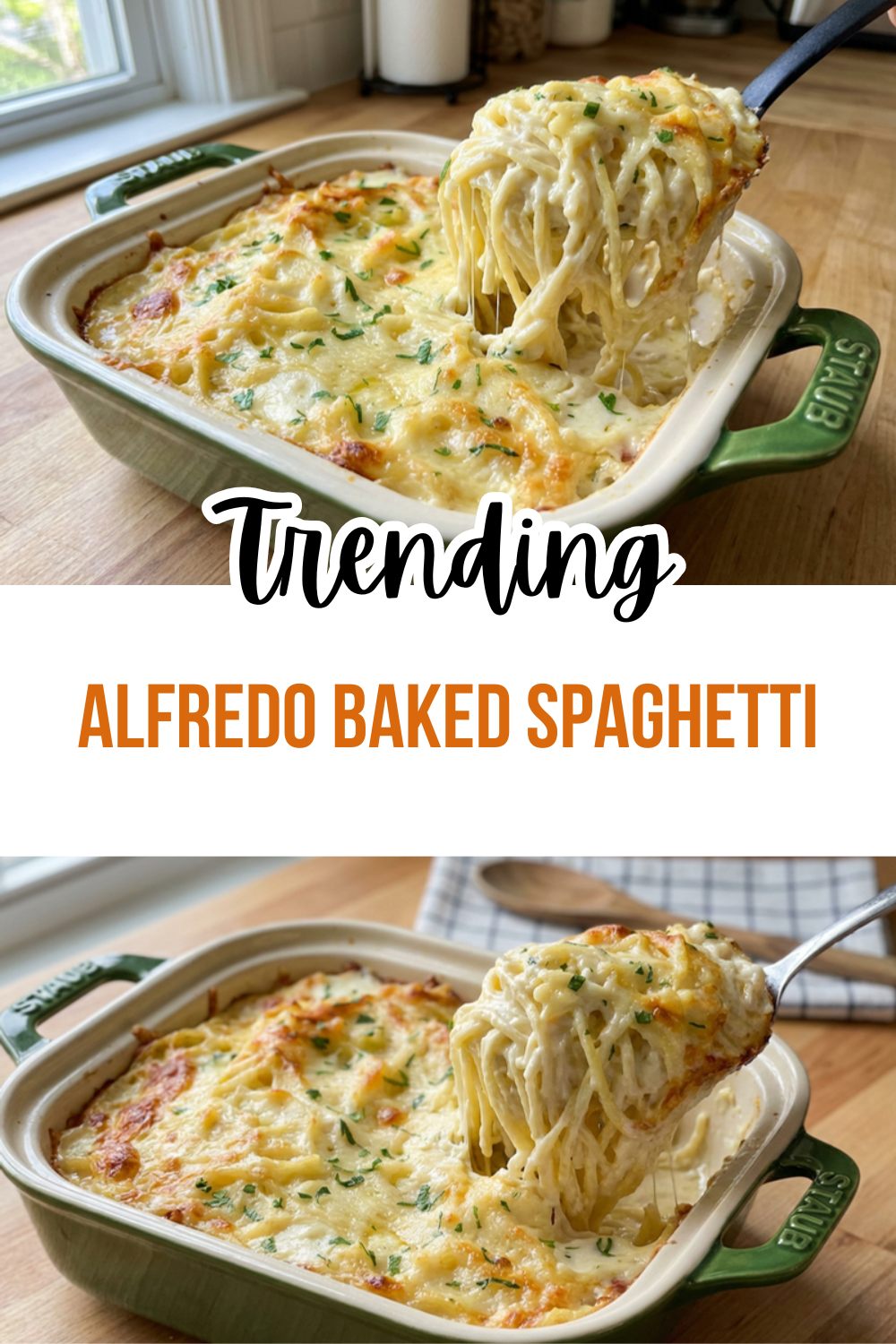 Alfredo Baked Spaghetti Recipe 7 Alfredo Baked Spaghetti